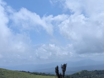 Bellfast Outing